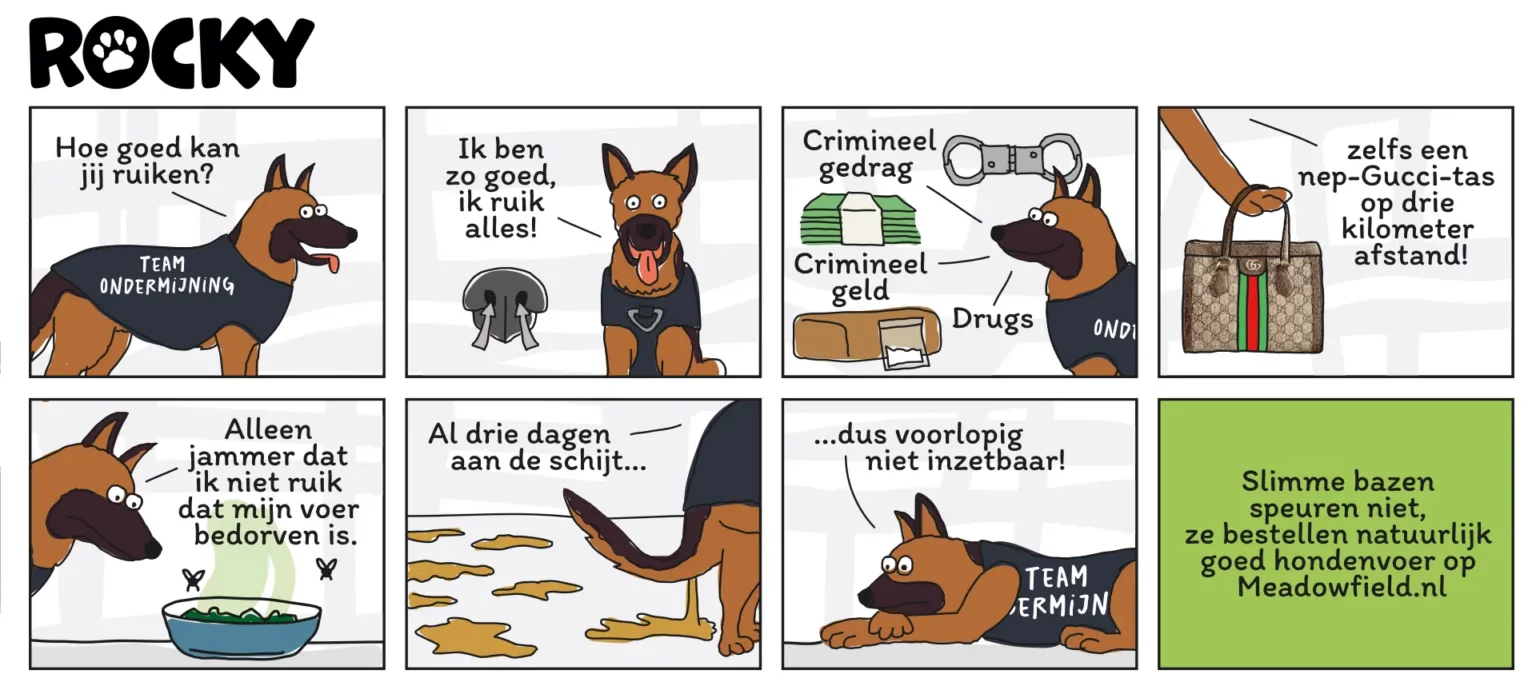 Ondermijningsmagazine strip rocky