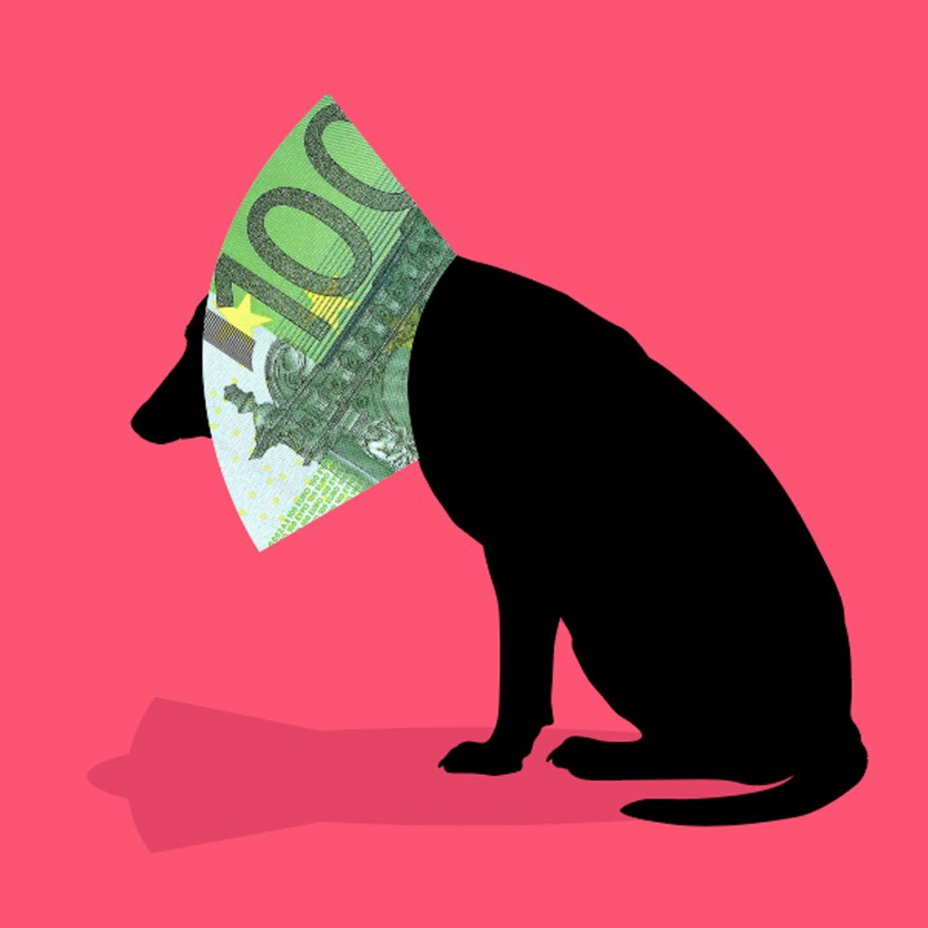 Georganiseerde ondermijnende zorgcriminaliteit ook in onze dierenzorg?!