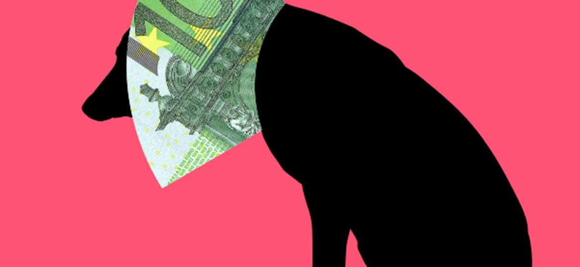 Zorgcriminaliteit_in_dierenzorg_Kennisartikel