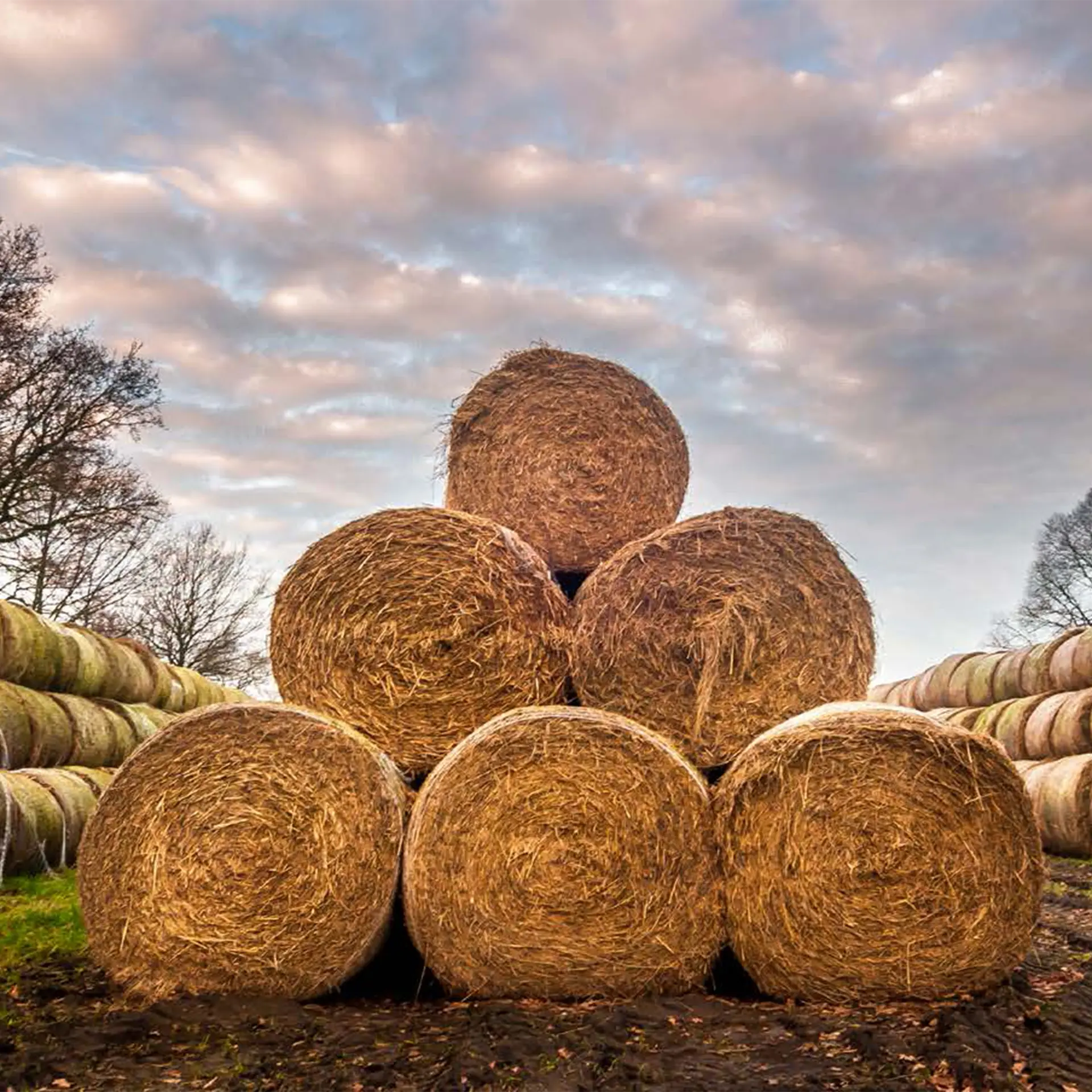 Hooibalen op een agrarisch erf als metafoor voor het opsporen van ondermijnende criminaliteit op het platteland