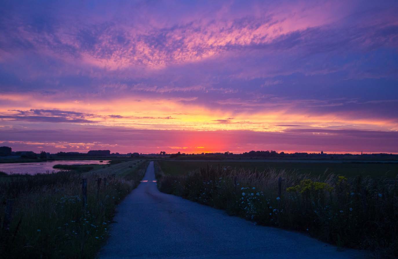 Landschap in het Nederlandse buitengebied waar onderzoek naar ondermijnende criminaliteit op het platteland plaatsvond
