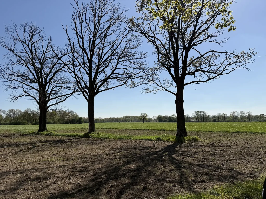 landbouwgrond in Nederland als voorbeeld van verschillende vormen van pacht