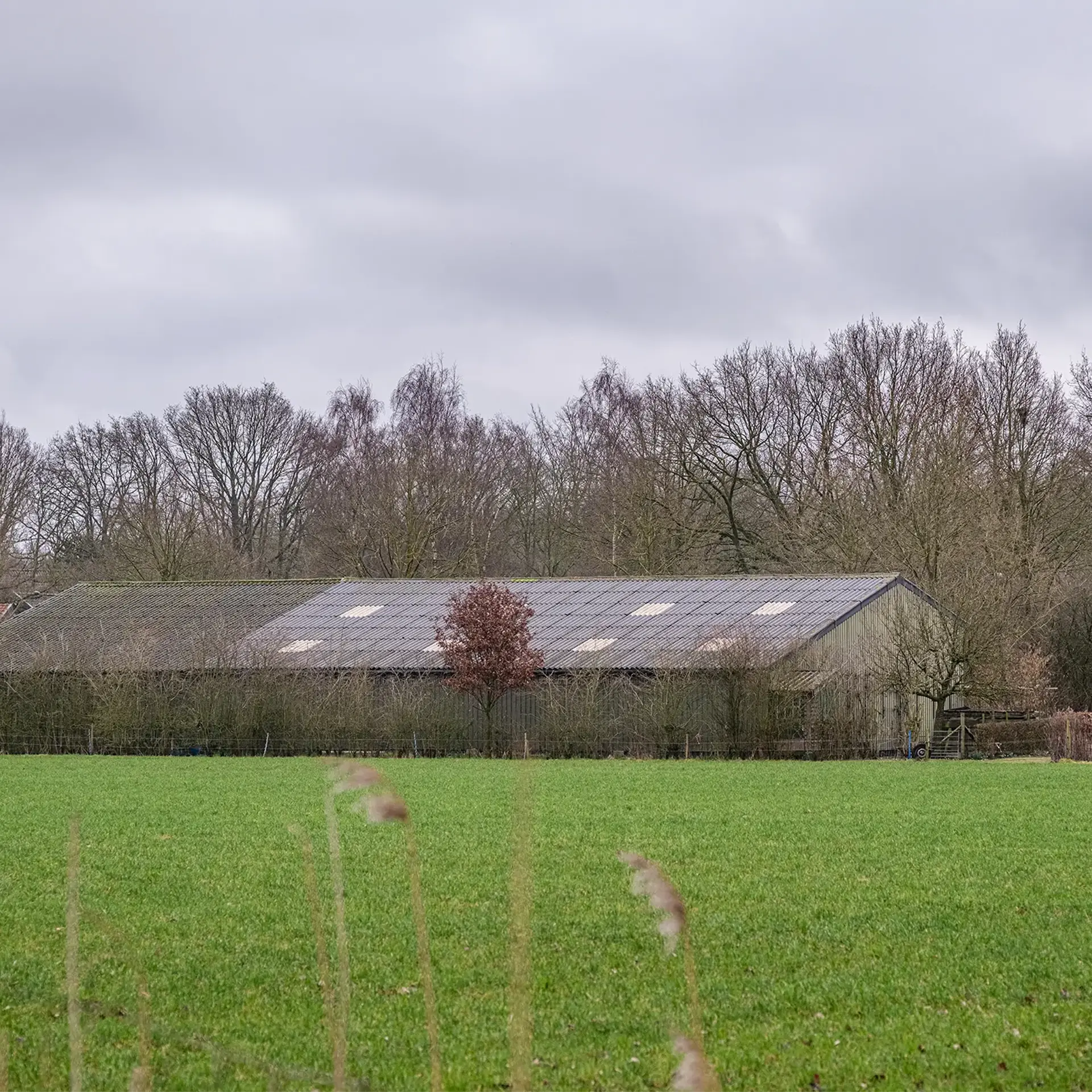 landbouwgrond en agrarische loods als voorbeeld van verschillende vormen van pacht